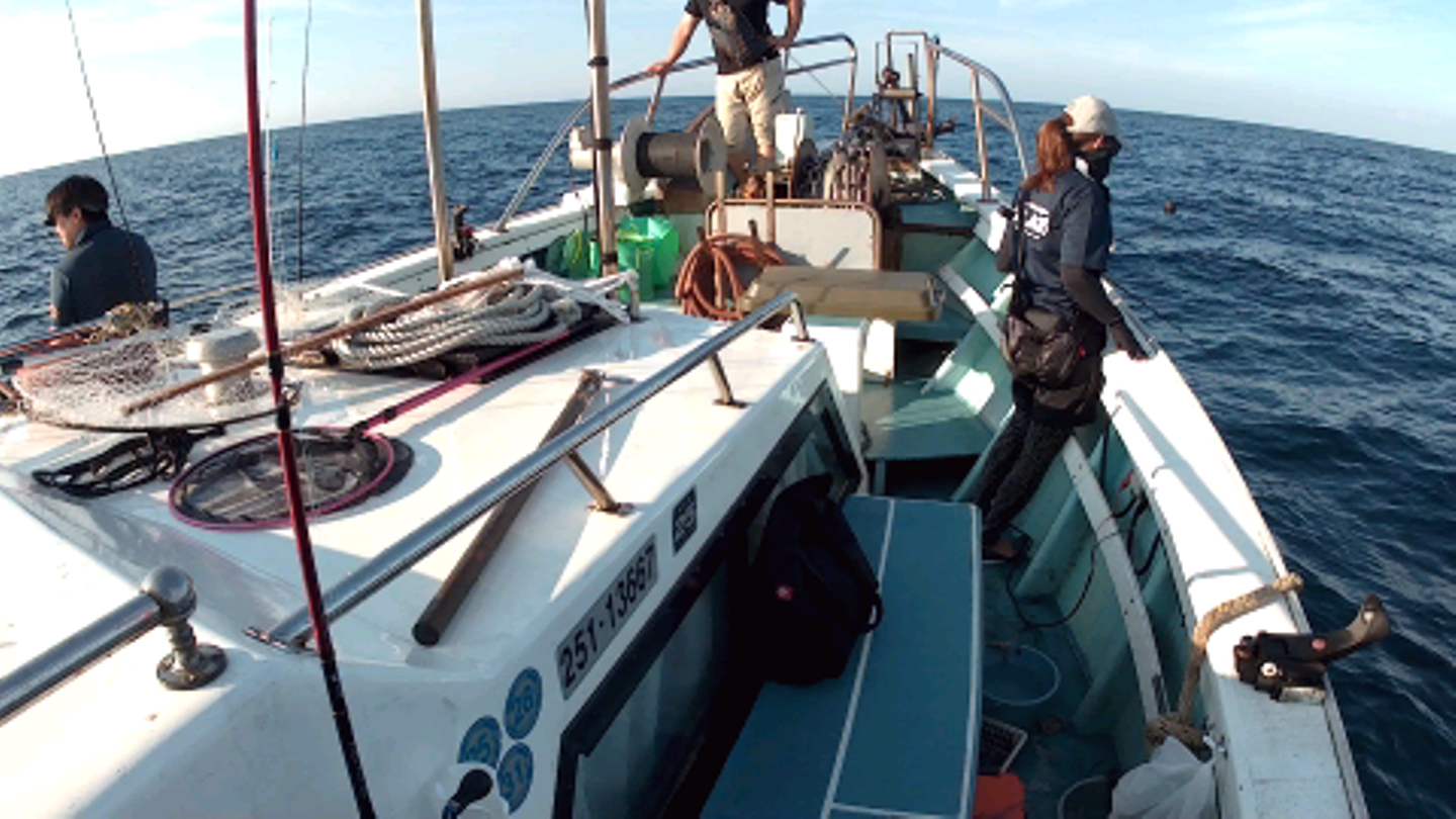 爆釣イカメタル